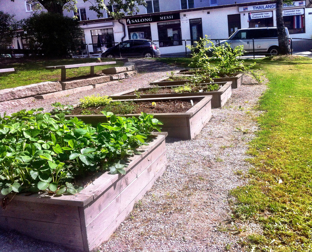 Hökarängen's residents are invited to collect herbs from the side of the pedestrian street on their way home.